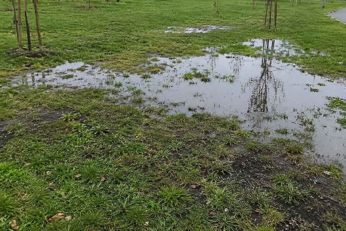 prikaz skupljene vode u dvorištu